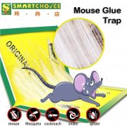 強力黏性的老鼠黏膠陷阱 (鼠蛇黏墊板)(適用於室內室外)(易於設置) 強力黏性的老鼠黏膠陷阱 (鼠蛇黏墊板)(適用於室內室外)(易於設置)